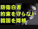 日本との約束を守らない韓国を降格処分　防衛白書2019
