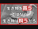 【謝罪!!】生き物は買う、ではなく飼うだろ!!【正直な感想】