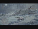 ＭＨＷＩ　モンスターハンターワールドアイスボーンpart12「ベリオロス討伐戦(中編)