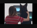 The Japanese House - Something Has to Change