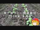 月一ゆっくり野菜栽培 2019年9月