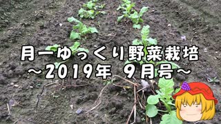 月一ゆっくり野菜栽培 2019年9月