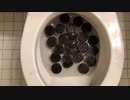 M&M'sとオレオのクッキーをトイレに流してみた