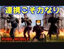 【PUBG Mobile】リーダー、スナイパー、フラッガー、サポート【バカ】