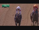 【競馬】2019 メトロポリタンH　ミトーリ