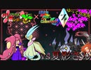 【ポケモンUSM】フラクチ対戦レポート！Ultra Fes Collection Z編【vs夏影】