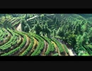 China Recommendation -Songxi Green Tea5