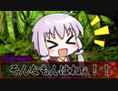 頭のおかしい奴らのウタカゼ『花を求めて』冒険編その１