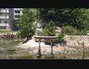 西国街道旧跡　小己斐島（旧小己斐明神）広島市西区井口明神