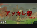 【趣味】拙いですがパンツでマスターになる【ゼルダの伝説ブレスオブザワイルド】pants93