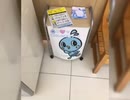 しゅったんちゃんねるず初au Payはじめての実績フランクフルト買ってみた