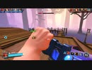 素材の味を楽しむ手抜き動画でPaladins Part6