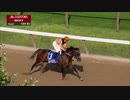 【競馬】2019 アルフレッドG.ヴァンダービルトH　インペリアルヒント