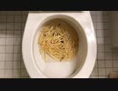 M&M'sとマクドナルドのフライドポテトをトイレに流してみた