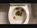 M&M'sとマクドナルドのマックチキンナゲットをトイレに流してみた