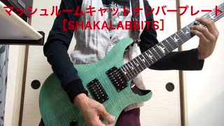 マッシュルームキャットナンバープレート［SHAKALABBITS］guitar カバー