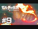 【実況】ゼルダの伝説 ブレスオブザワイルドを実況プレイ part9【BotW】