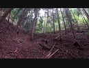 （山歩き回）変態忍者の、狩猟＆有害鳥獣駆除従事活動記・その８４