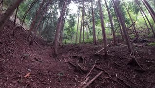 （山歩き回）変態忍者の、狩猟＆有害鳥獣駆除従事活動記・その８４
