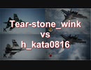 Ace Combat 7 Extra17 バトルロイヤル にゃんとこさんとのタイマン総集編