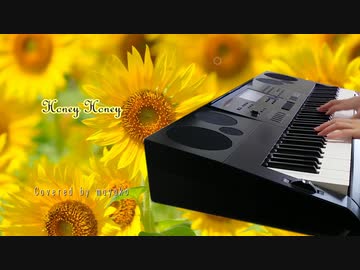 「Honey Honey」を歌ってみた【麻弥子】