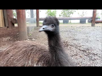 富士花鳥園