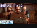 ファークライ5【ジョン・シード篇】実況プレイ＃12