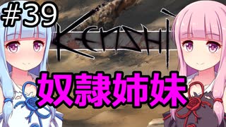 【Kenshi】琴葉茜・葵の奴隷姉妹 #39【VOICEROID実況】