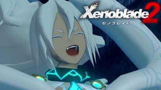 【実況】超王道RPGをもっとうるさく実況：Part114【Xenoblade2】