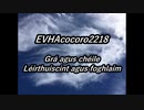 EVHAcocoro2218Gaeilge