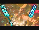 【実況】ゼルダの伝説 BREATH OF THE WILD　Part18【初見】
