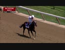 【競馬】2019 フォアゴーS　ミトーリ