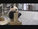 Miomio 動画 サイト 5mio.org