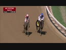 【競馬】2019 パーソナルエンスンS　ミッドナイトビズー