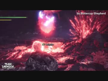 【MHW】珍プレー・バグ集その１