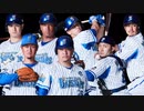 ベイスターズ個人成績ダイジェスト2019 野手編