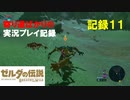 【寄り道ばかりの】ゼルダの伝説BotW【実況プレイ記録11】大地に立つ・・そして、祠