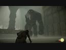 【初見実況】 記憶に残る傑作、「ワンダと巨像」 をプレイ part.05
