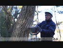 Lightning Strikes Chainsaw