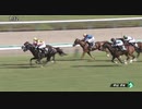 マルターズディオサ　中山・サフラン賞　2019年9月29日