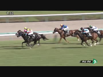 木村牧場育成馬マルターズディオサ 鋭い差し脚披露して2歳特別勝ち 木村牧場有限会社