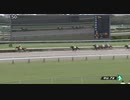 グログラン　中山・3歳以上1勝クラス　2019年9月28日