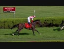 【競馬】2019 ソードダンサーS　アナルズオブタイム