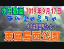 水中動画（2019年9月17日）in 東扇島西公園