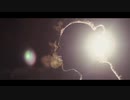 【PV】PAIN OF SALVATION - Falling Home