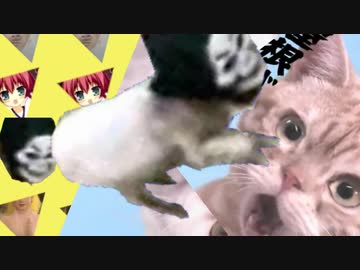 バイザヴェェェダンス