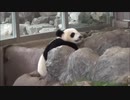 Miomio - Miomio 動画
