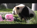 バラエティ動画 Miomio 5mio.org