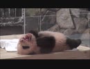 Miomio - Miomio 動画 5mio.org