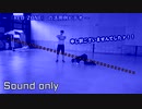 ～「RED_ZONE」の活用形ビデオ～　(Sound only)